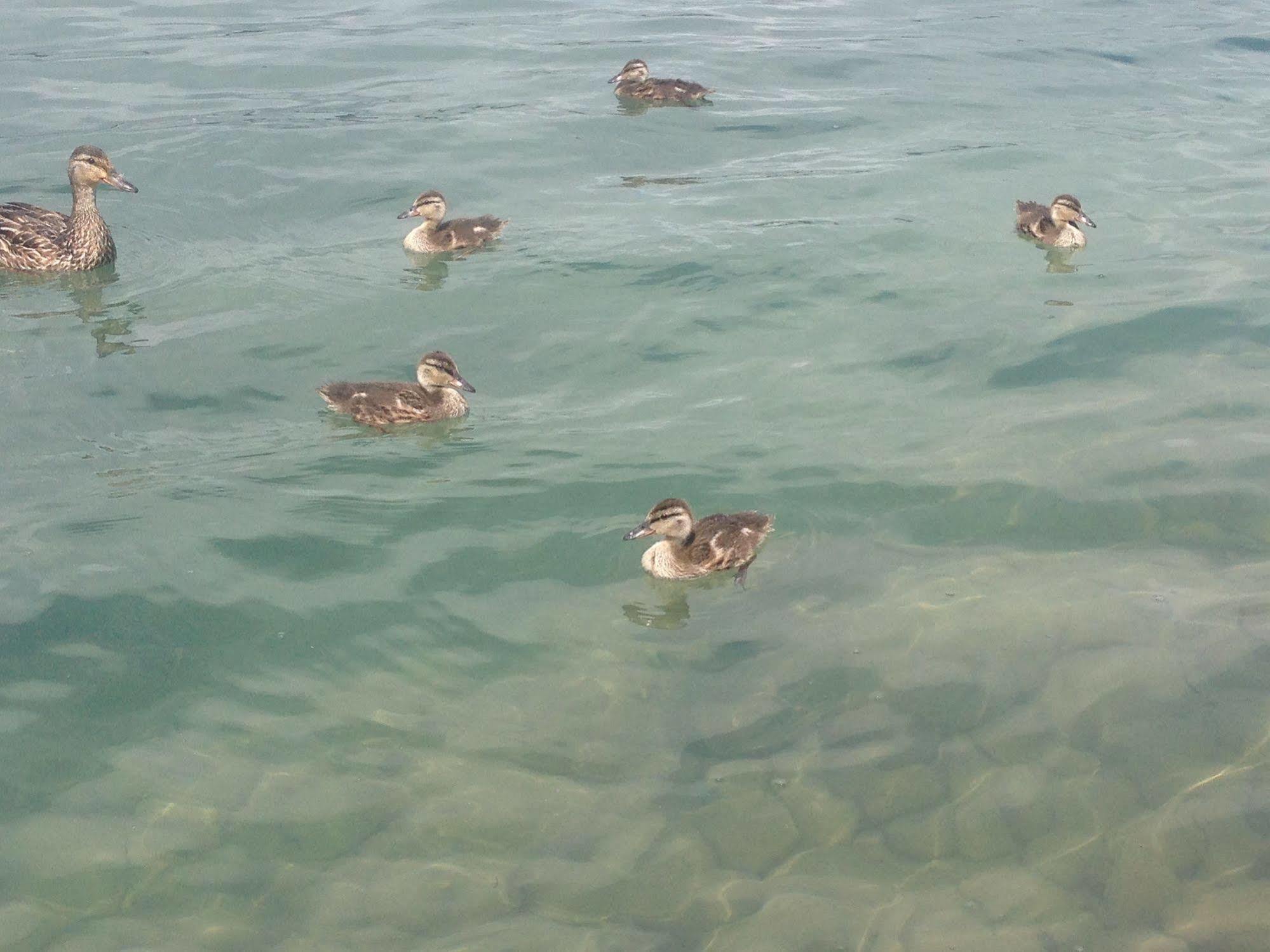N' This On The Bay -Vacation Suite ไวอาร์ตัน ภายนอก รูปภาพ